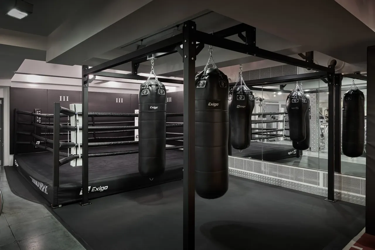 A boxing gym with a ring, heavy punching bags suspended from a metal frame, and mirrored walls.