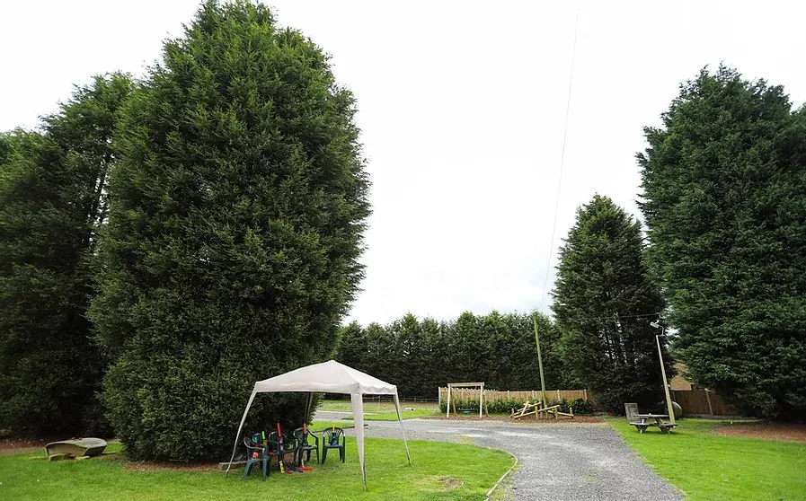 A family gathering under a white canopy in a grassed outdoor area with playground equipment and tall hedges.