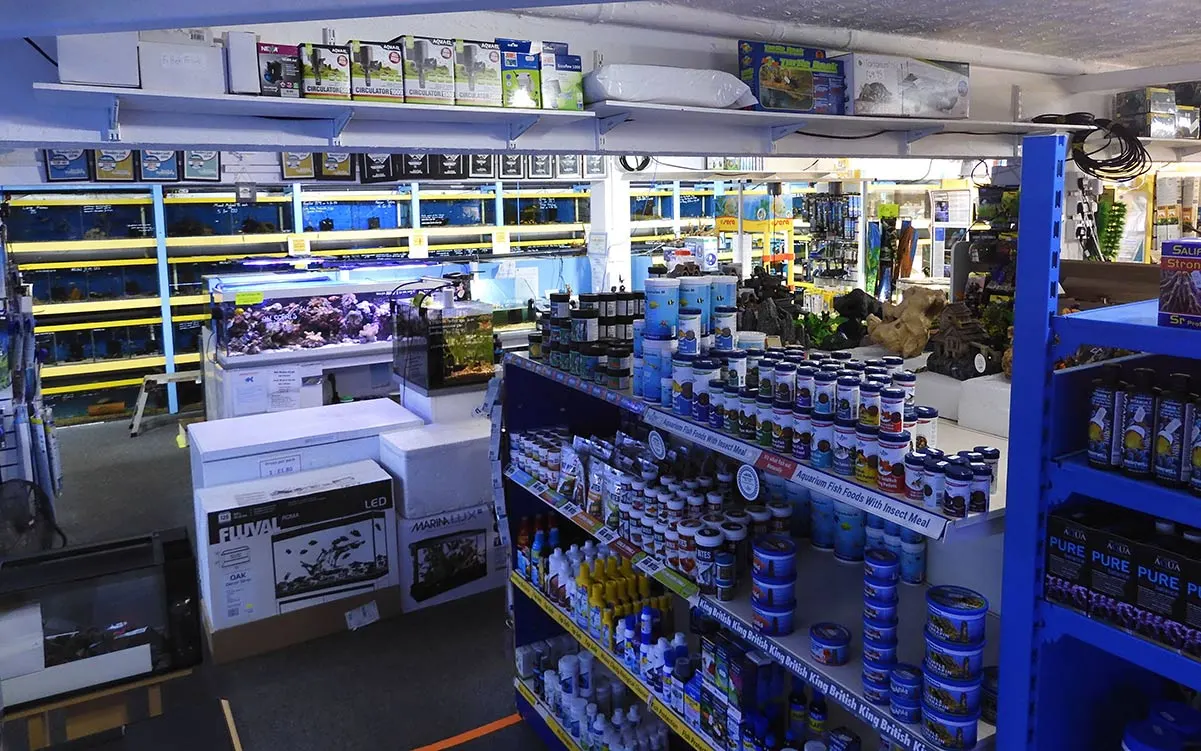 Interior of an aquatics shop displaying multiple aquariums, tanks, and shelves stocked with fish food, equipment, and supplies.