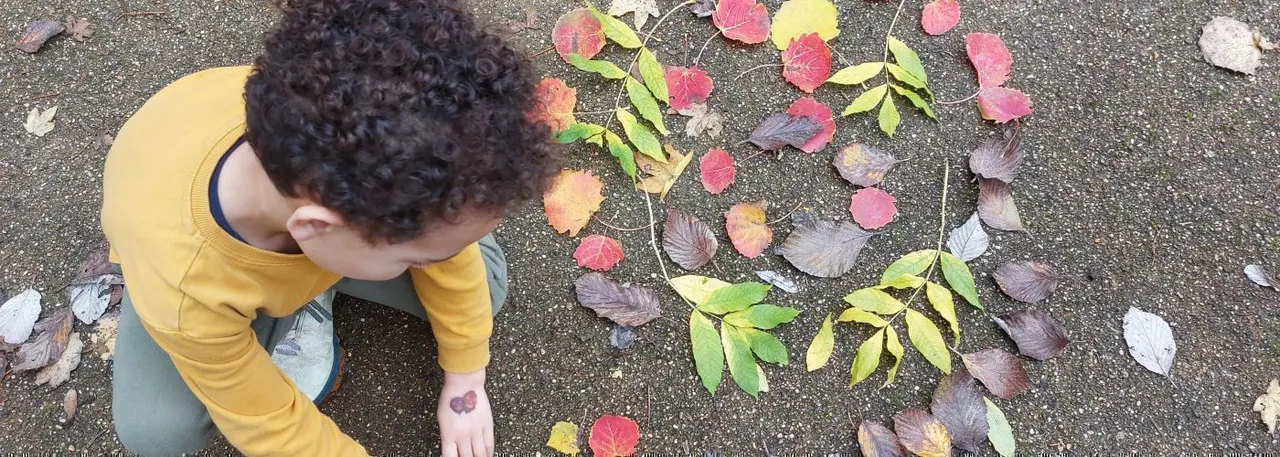 Child in yellow clothing arranging autumn leaves and foliage on ground, viewed from above.