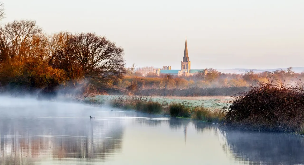 Misty river scene with a duck swimming, bare autumn trees and a church spire visible across the water in the distance.