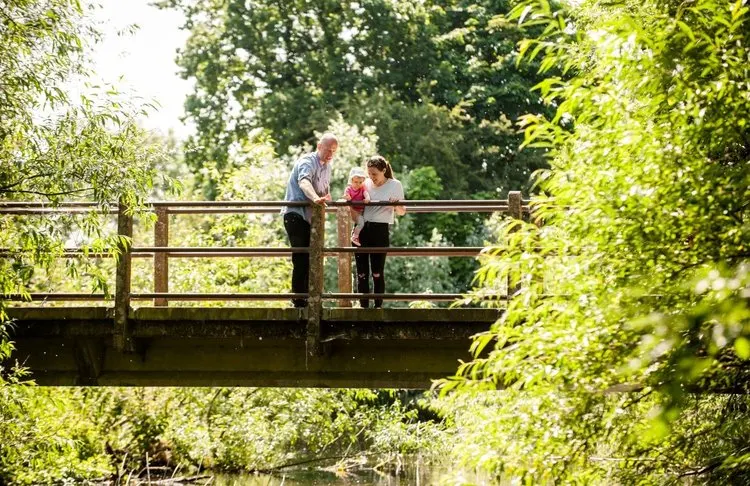 Two adults and a child stand on a wooden bridge over a stream, surrounded by lush green foliage.
