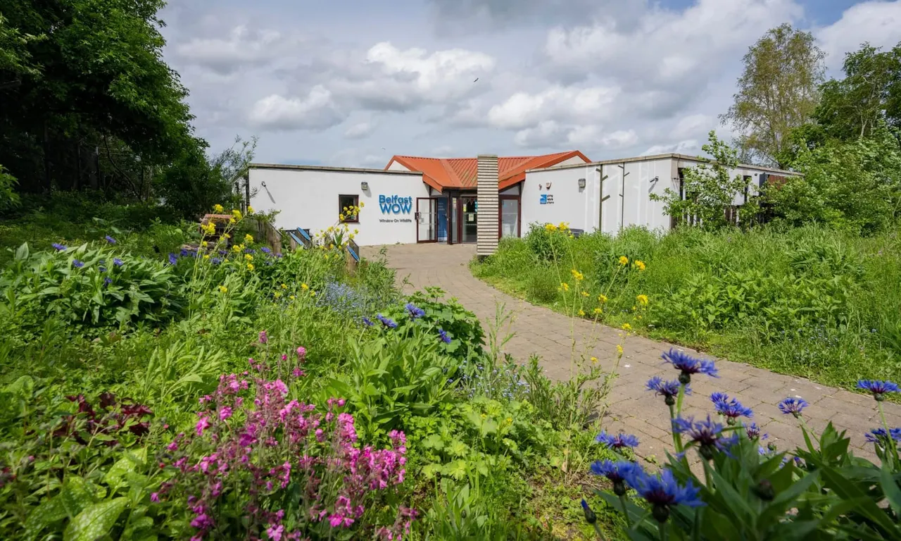 Modern visitor centre with orange roof surrounded by wildflower gardens in bloom, with blue and pink flowers in foreground and trees either side.