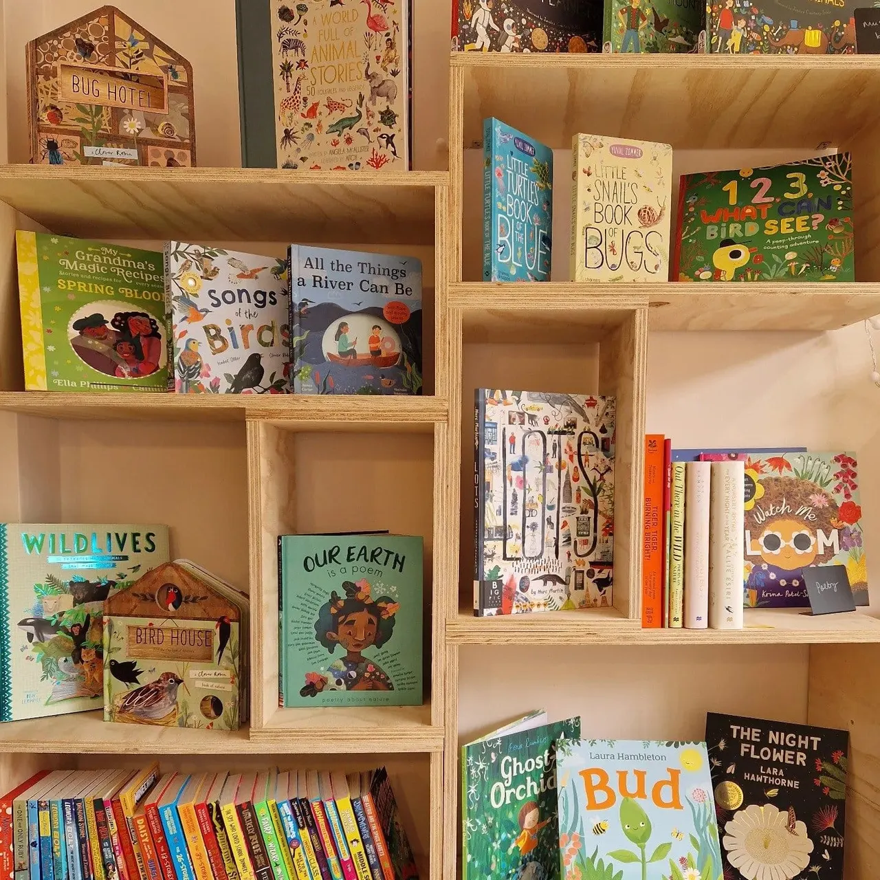 Wooden shelving unit displaying a curated collection of children's books about nature, animals, and insects, with decorative wooden bird and bug houses.