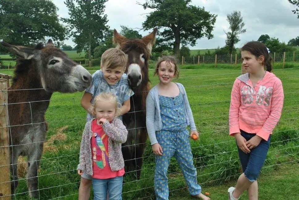 Children posing with a donkey and horse in a paddock at a farm.