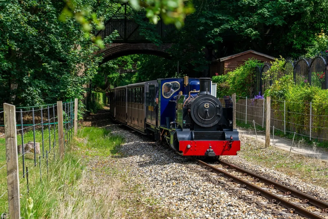 A blue and red miniature steam locomotive numbered 6 travels along a narrow-gauge track through a leafy, ivy-covered cutting with stone bridges overhead.