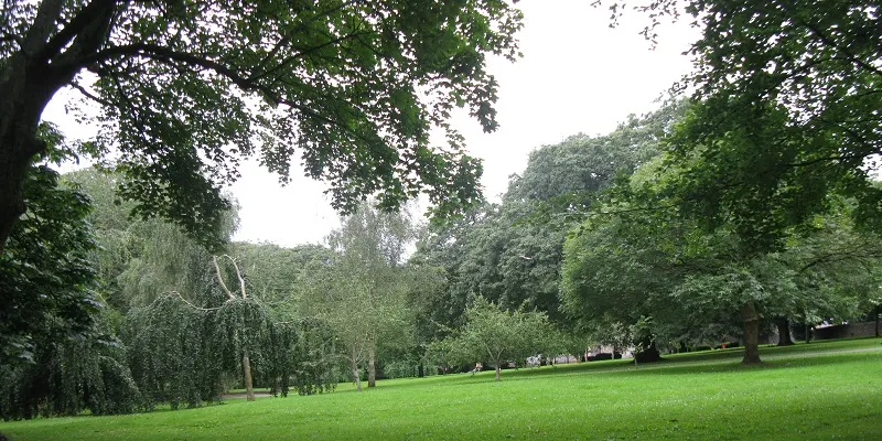Wide open green parkland with mature trees lining the edges and a weeping willow on the left.