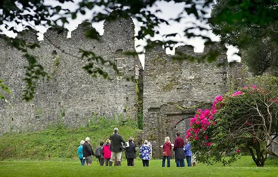 A group of visitors standing on grass in front of a stone castle wall with pink flowering shrubs.