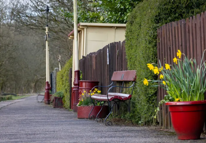 A rural railway platform decorated with vintage red farm equipment and yellow daffodils in planters alongside ivy-covered fencing.