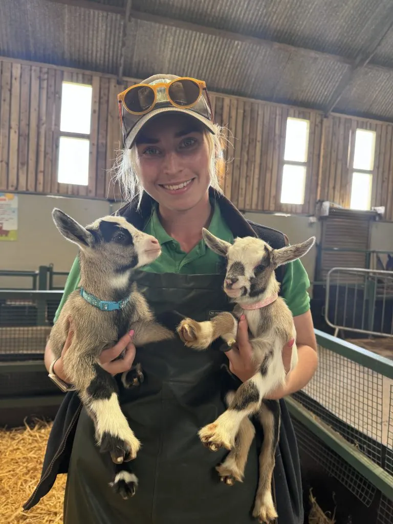 Woman holding two young goats in a farm barn, smiling at camera.