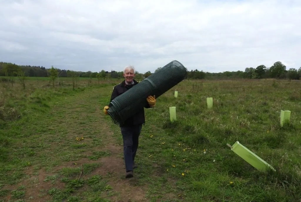 Man carrying a rolled mesh barrier across a grassy field with protective tree guards and woodland beyond.