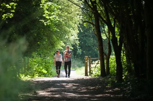 Two people jogging along a tree-lined woodland path in dappled sunlight.