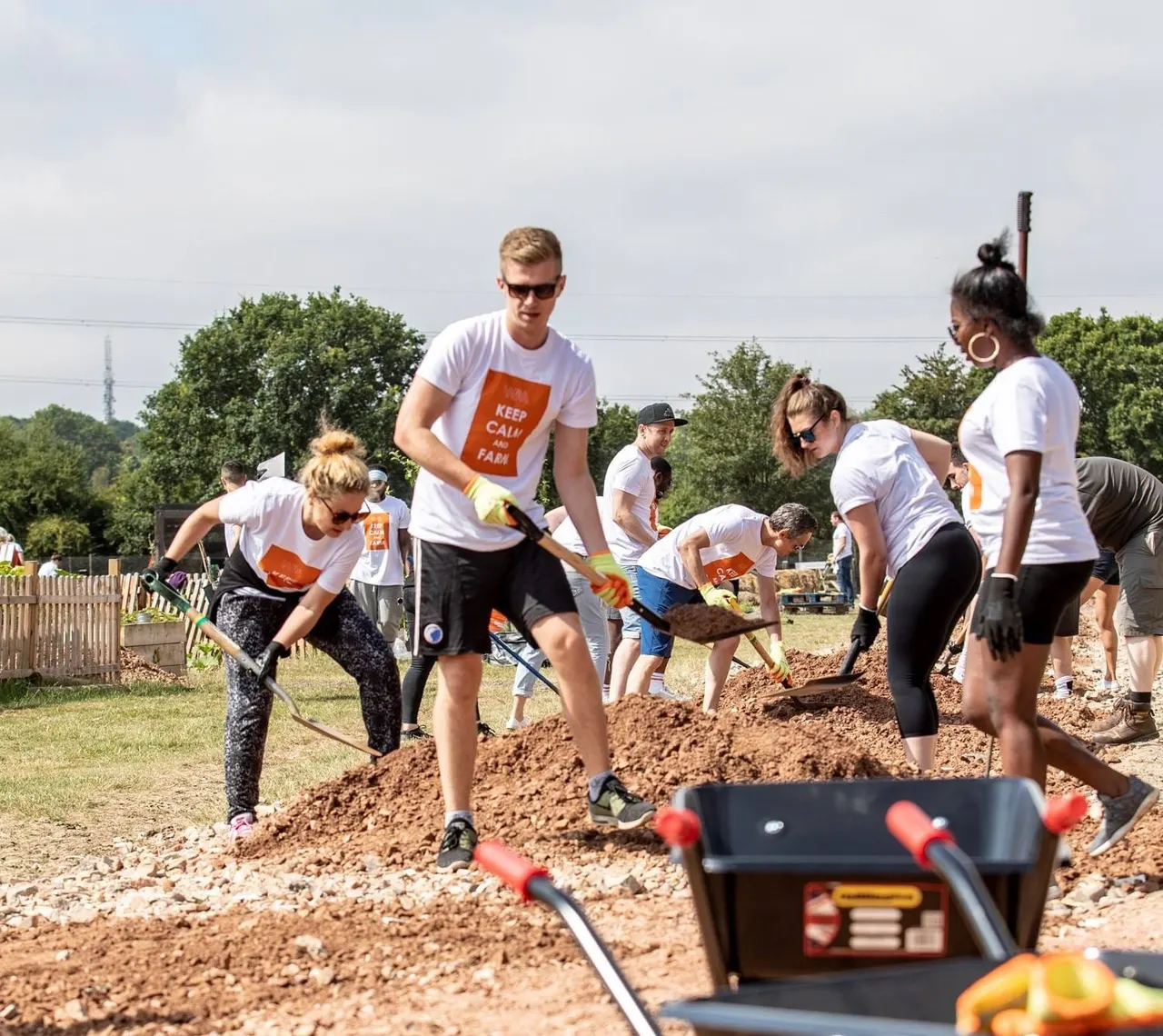 Group of volunteers digging and moving soil during a community farm work day in sunny weather.