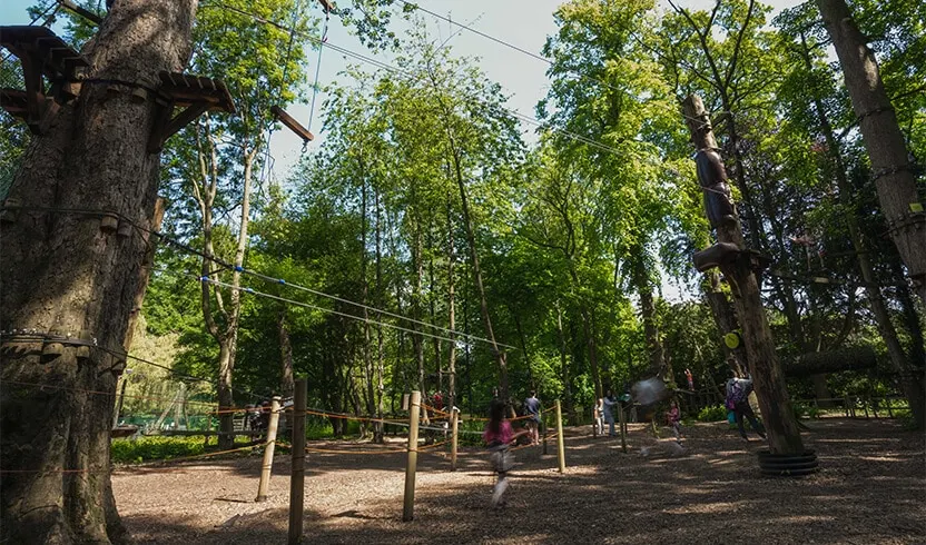 Outdoor adventure park with visitors navigating rope courses and obstacles between tall trees in a woodland setting.