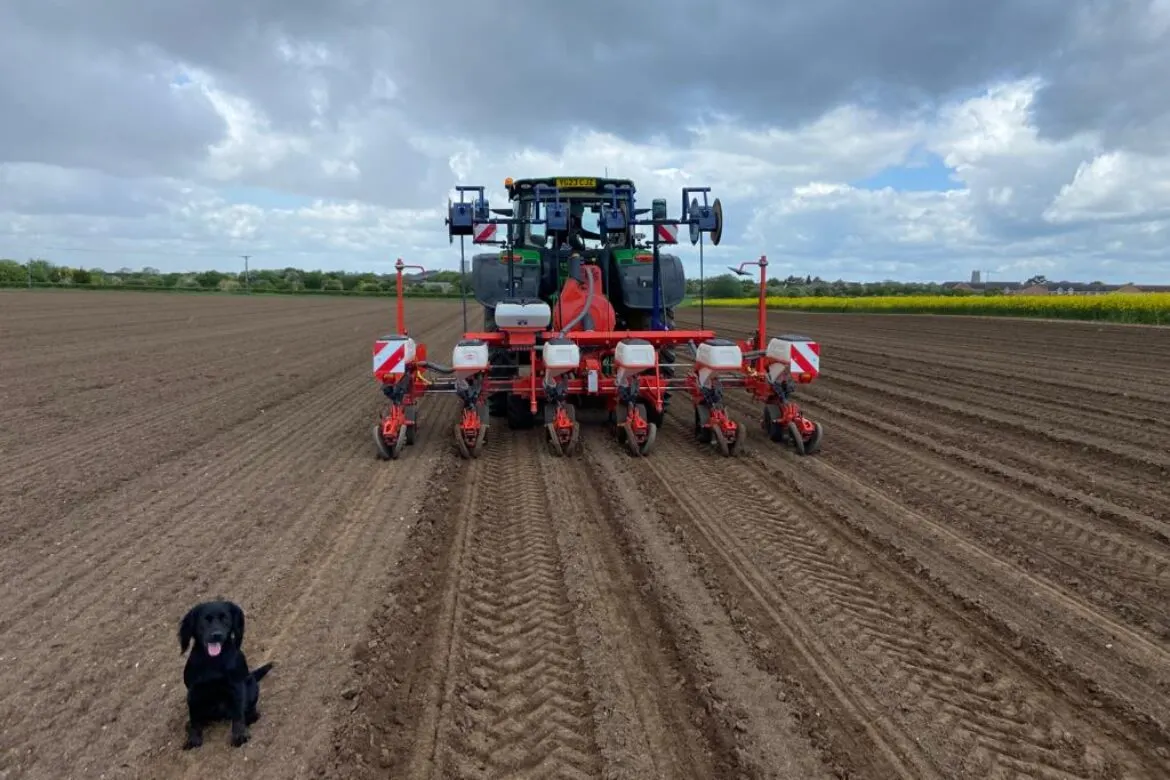 A black dog stands in a ploughed field facing a large red and black planting tractor with multiple seed hoppers.