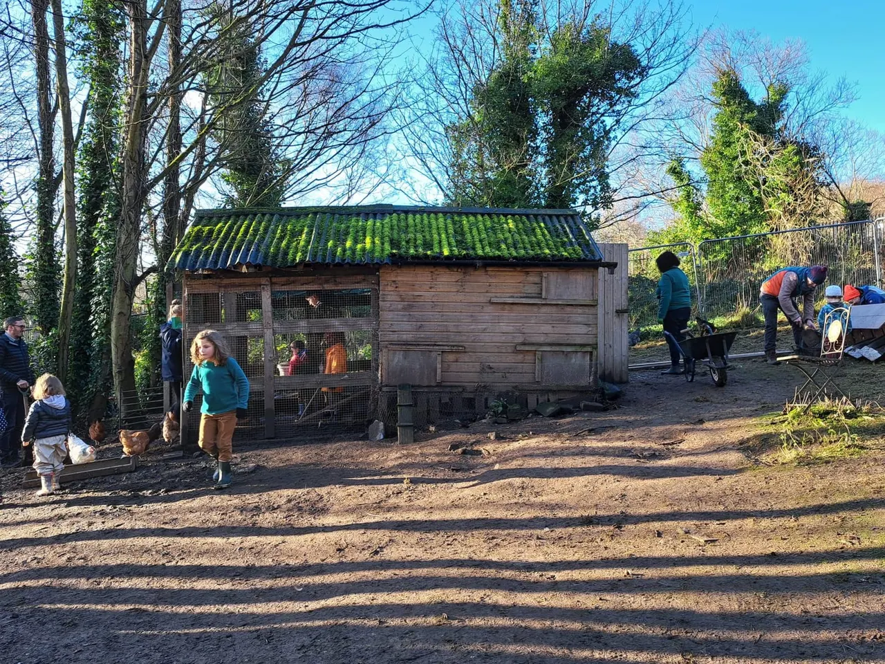 Children and adults interact with farm animals in and around a wooden shed with a moss-covered roof at a community farm.