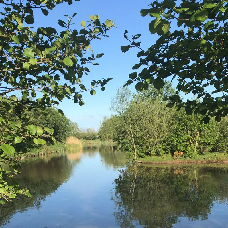 Still water canal or lake bordered by trees and overhanging foliage on a clear sunny day.