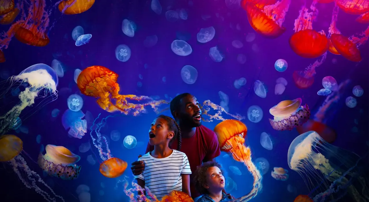 An adult and two children gazing upwards at luminescent jellyfish swimming in a vibrant blue tank.