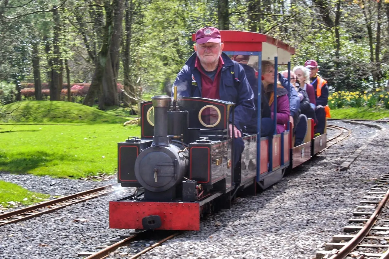A man operates a miniature steam locomotive carrying passengers through a woodland setting with lush green grass and trees.