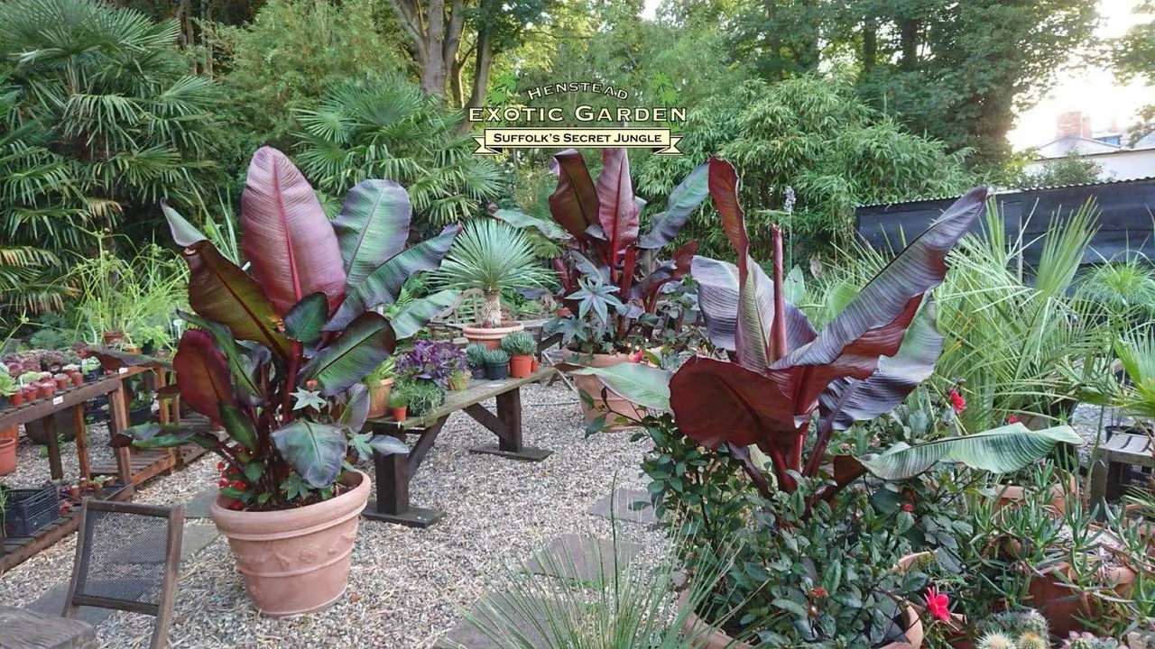 Henstead Exotic Gardens