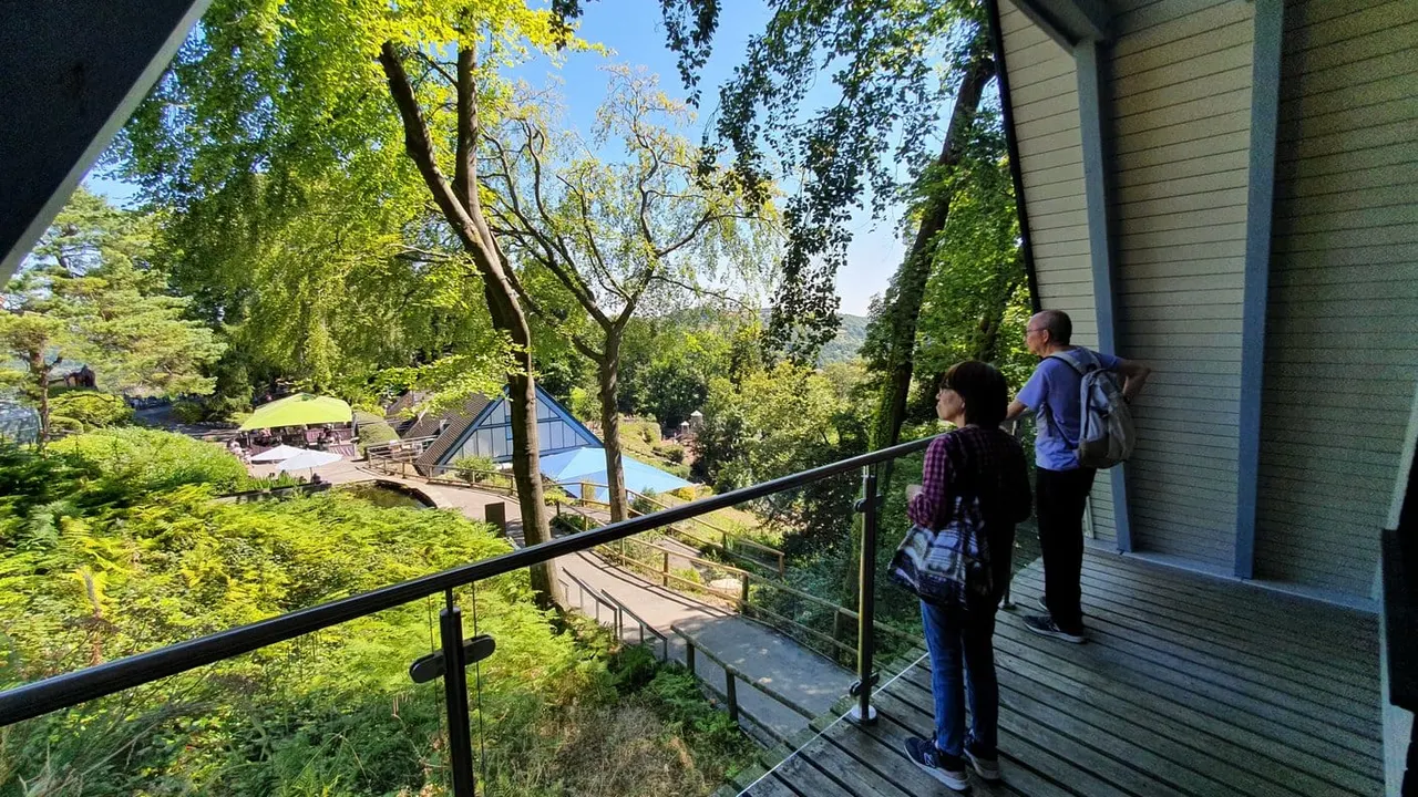 Two visitors stand on a wooden deck overlooking a lush wooded valley with a suspended bridge and recreational grounds below.