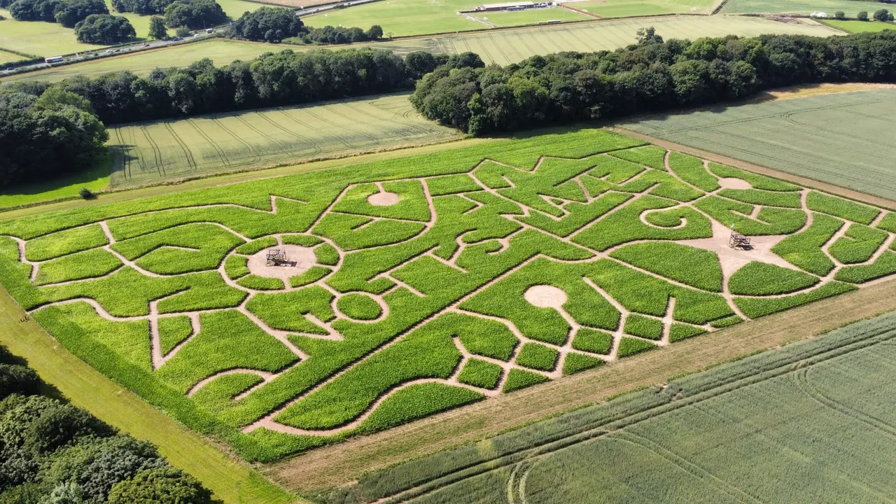 Aerial view of the Notts Maze maize maze with viewing towers and NOTTS MAZE cut into the crop