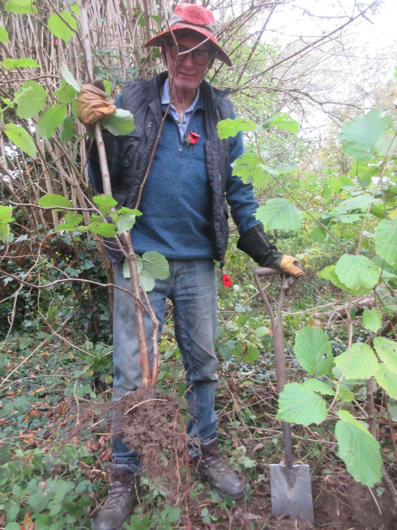 An older man in a red hat and glasses holding a spade among overgrown vegetation and branches during outdoor conservation work.