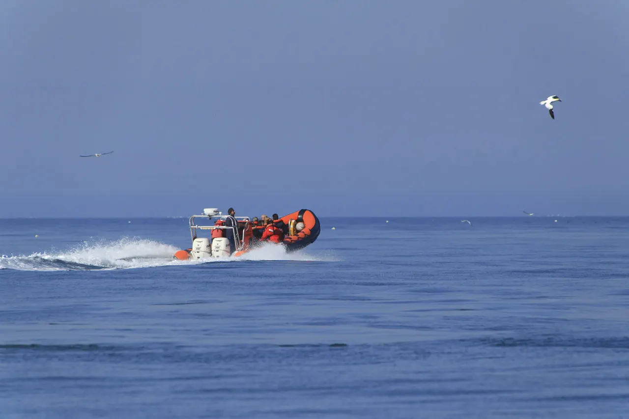 Sussex Boat Trips