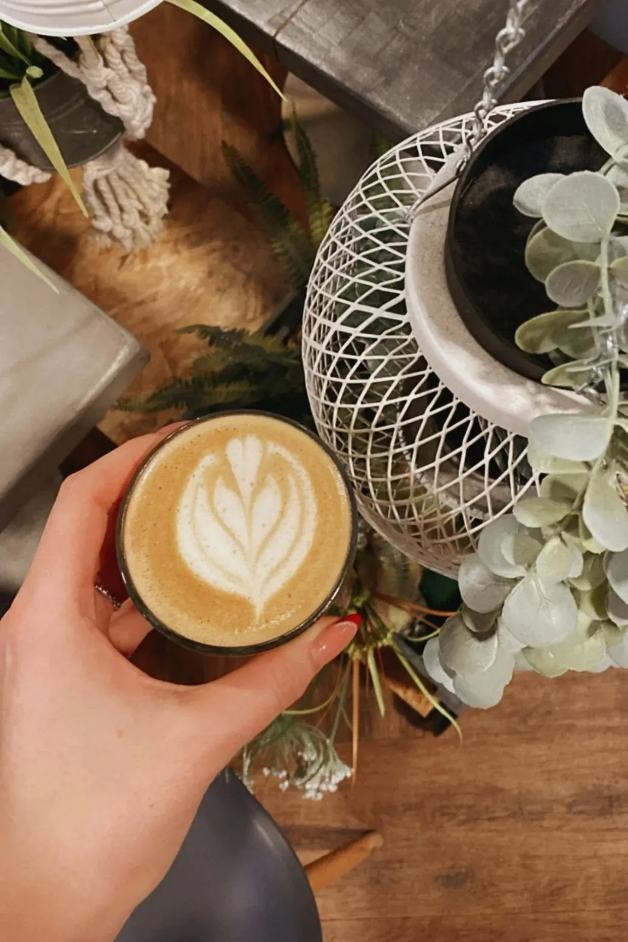 Person holding a latte with latte art, surrounded by potted plants on a wooden table.