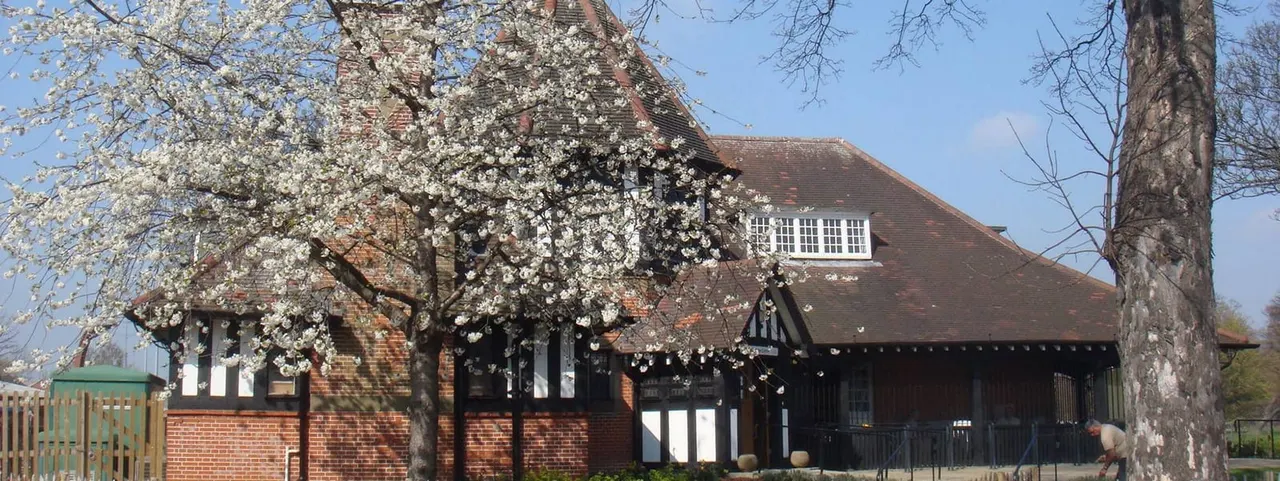 A brick Tudor-style building with black and white timber framing, fronted by white blossom trees in spring, under clear blue sky.