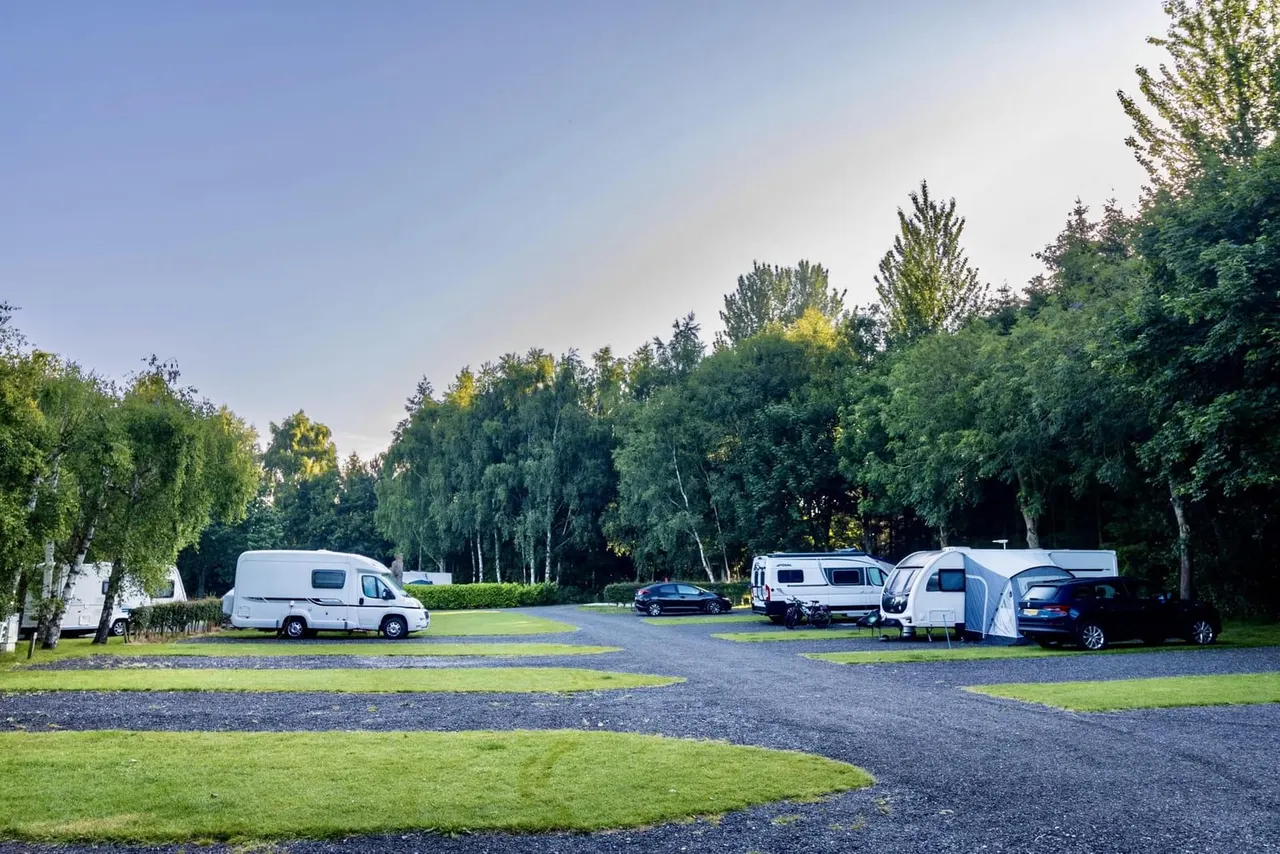 Caravans and motorhomes parked on gravel and grass pitches surrounded by mature trees under clear sky.