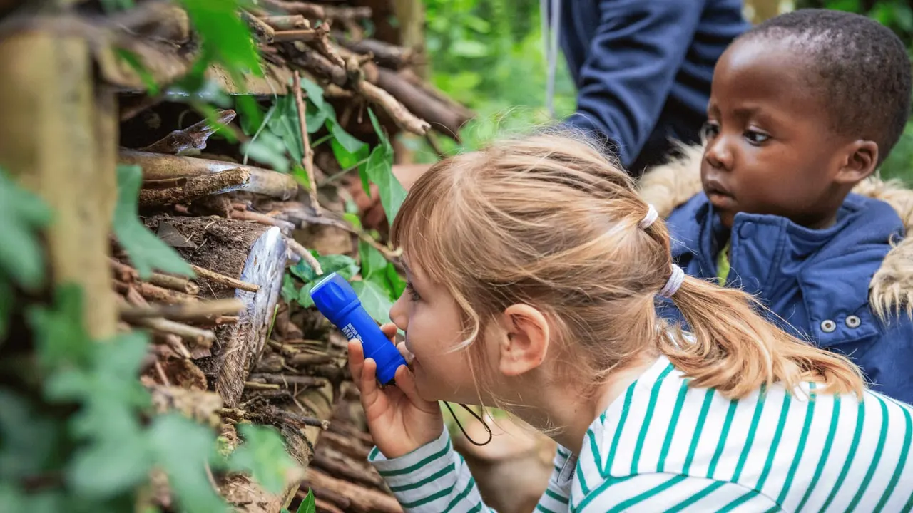 Young children examining bark and insects on a tree trunk with torches during a nature exploration activity.