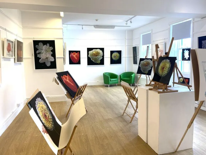 Gallery interior with framed flower photographs displayed on walls and easels, two green chairs, and wooden display blocks.