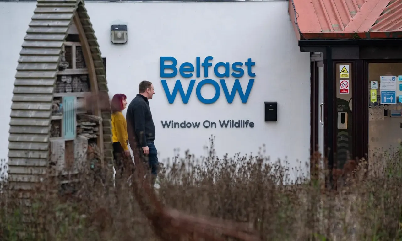A man and woman stand outside a white building with "Belfast WOW Window On Wildlife" signage, surrounded by tall grasses and vegetation.