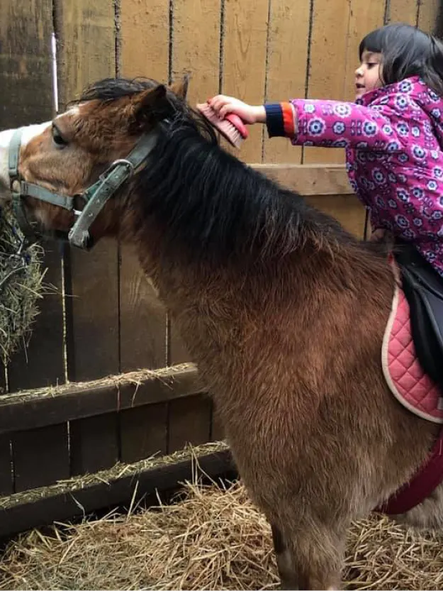 Young child in pink jacket petting a brown pony over a wooden fence.