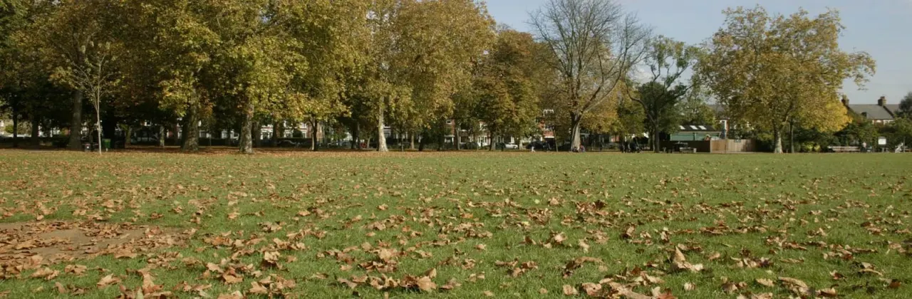 Open grassland with fallen autumn leaves, bordered by mature trees and residential buildings in the distance.