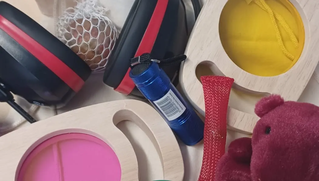 Collection of sports equipment including balls, gloves, and a water bottle arranged on a white surface.