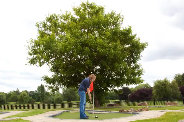 Man playing mini golf beneath a large spreading tree on a manicured course.