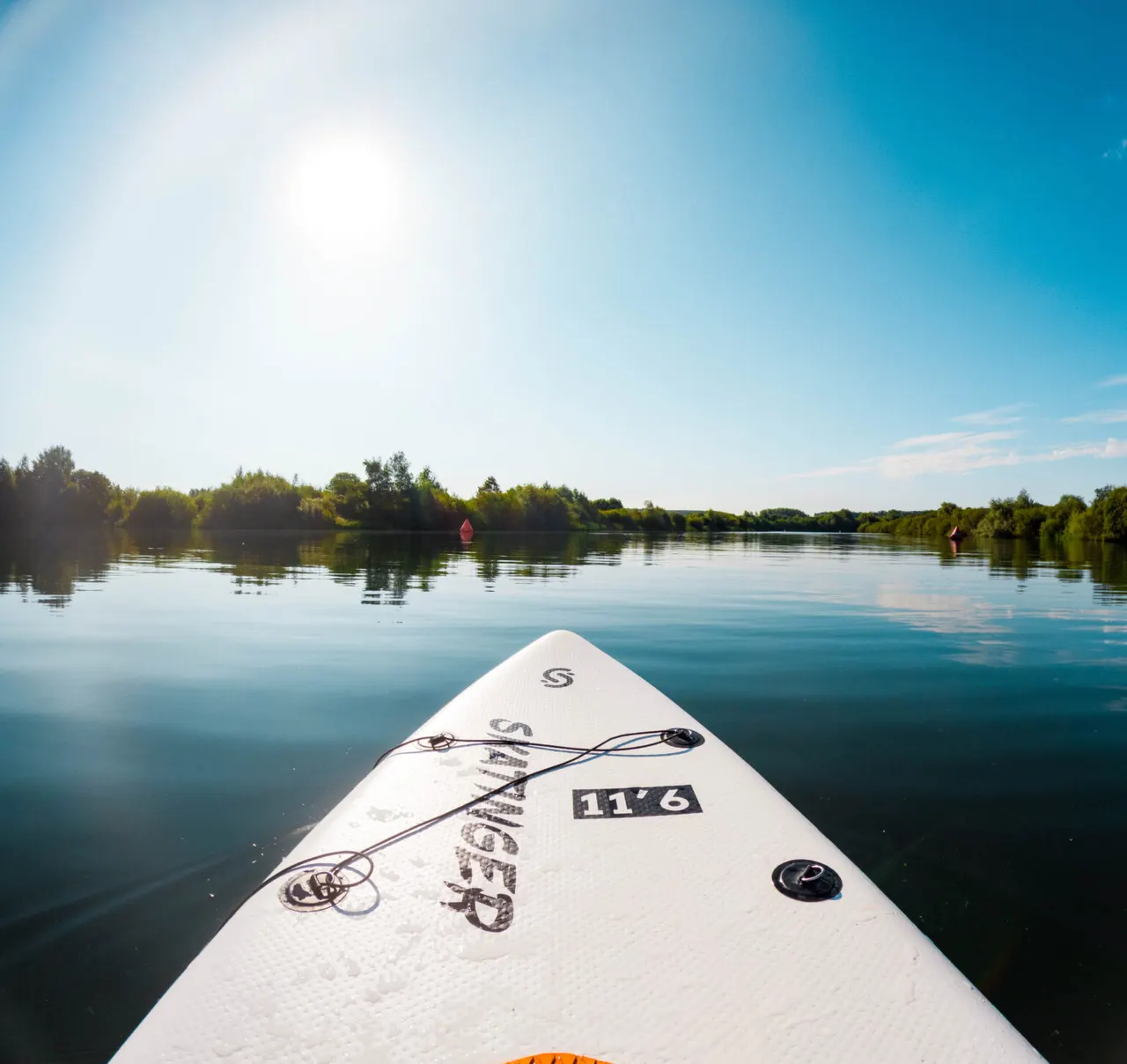 Stand-up paddleboard on calm water with forested shoreline and clear blue sky.