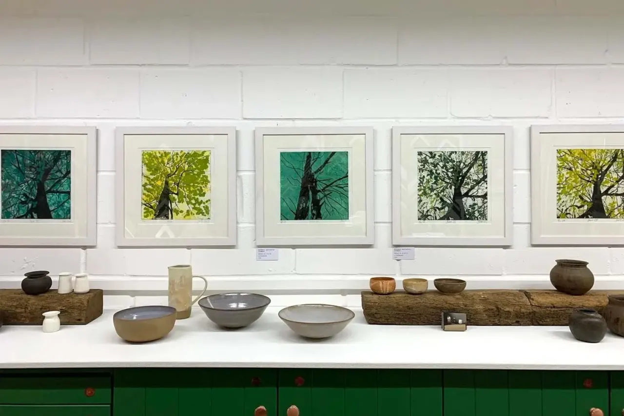 Gallery display with five framed photographs of trees and pottery vessels arranged on wooden logs below.