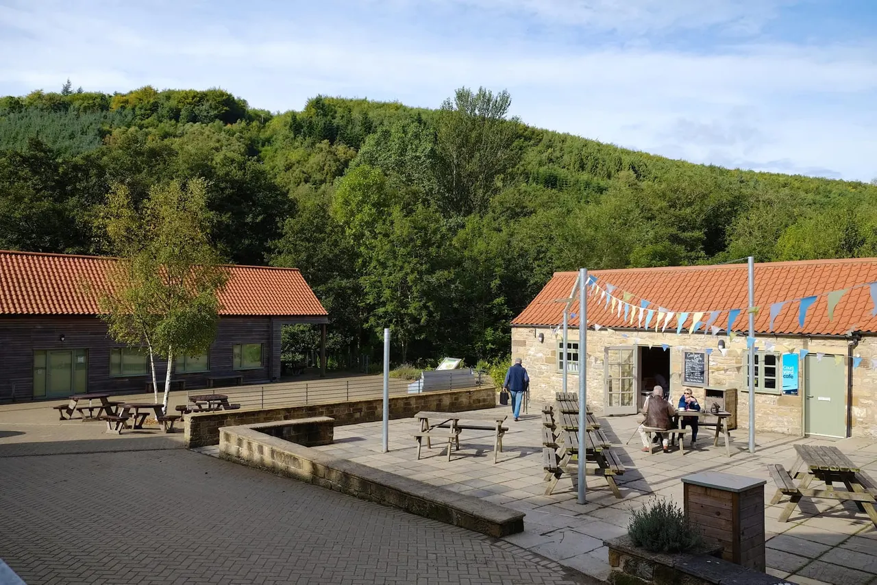 Outdoor courtyard at a forest visitor centre with stone and wooden buildings, picnic tables, and visitors relaxing amid green woodland backdrop.