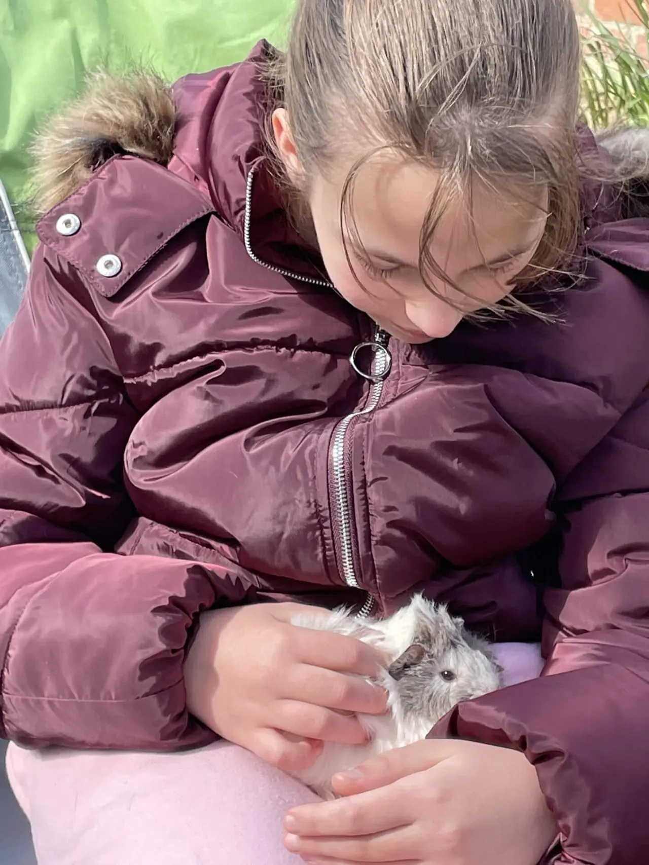 A young child in a burgundy padded jacket gently holds a small furry animal in their hands outdoors.