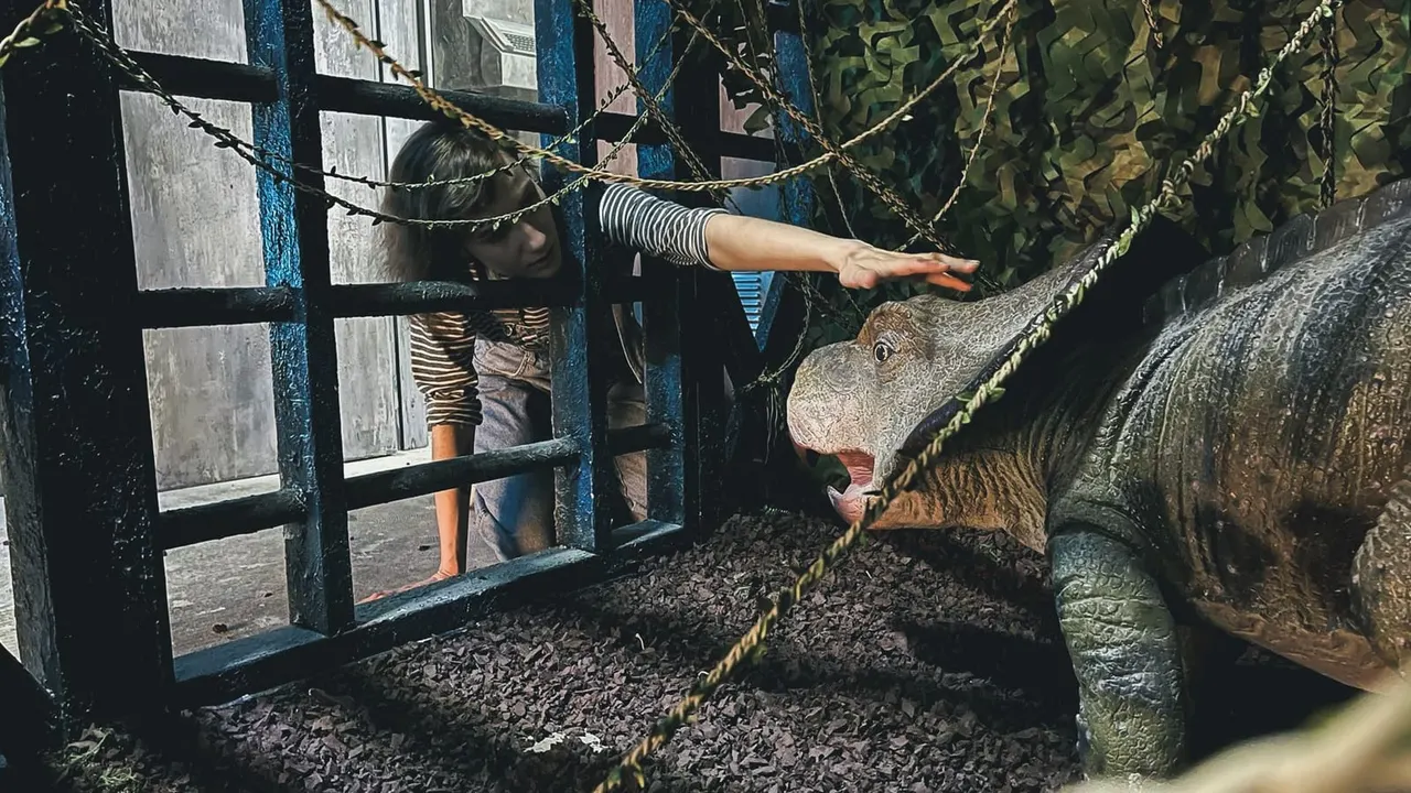 Visitor feeding a reptile through the window of an enclosure at a leisure venue.