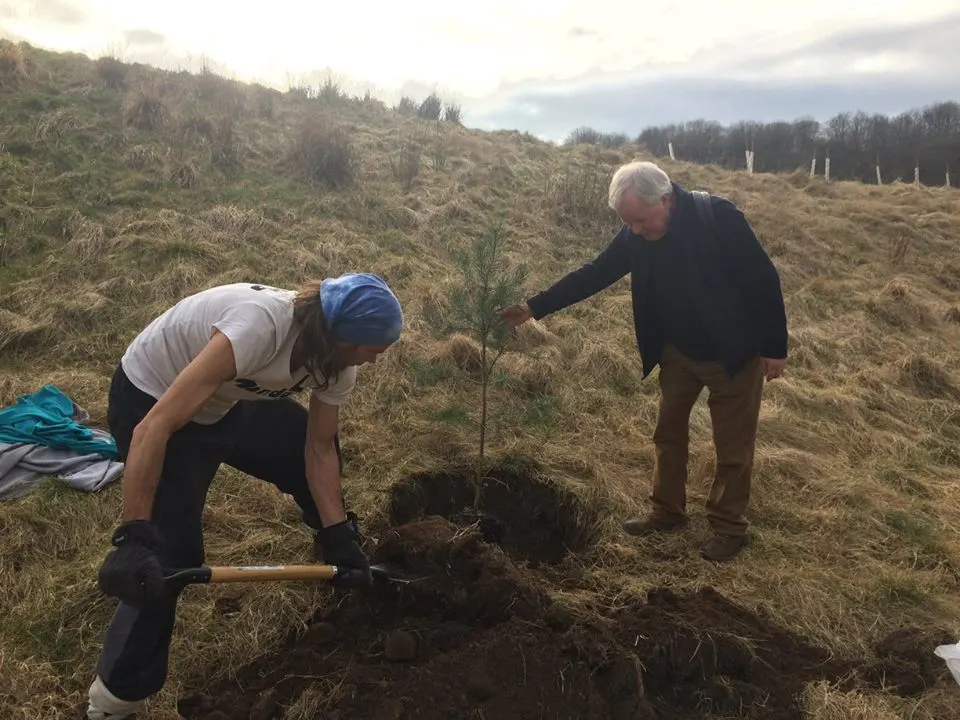 Two people planting a young tree on a hillside during a woodland restoration activity.
