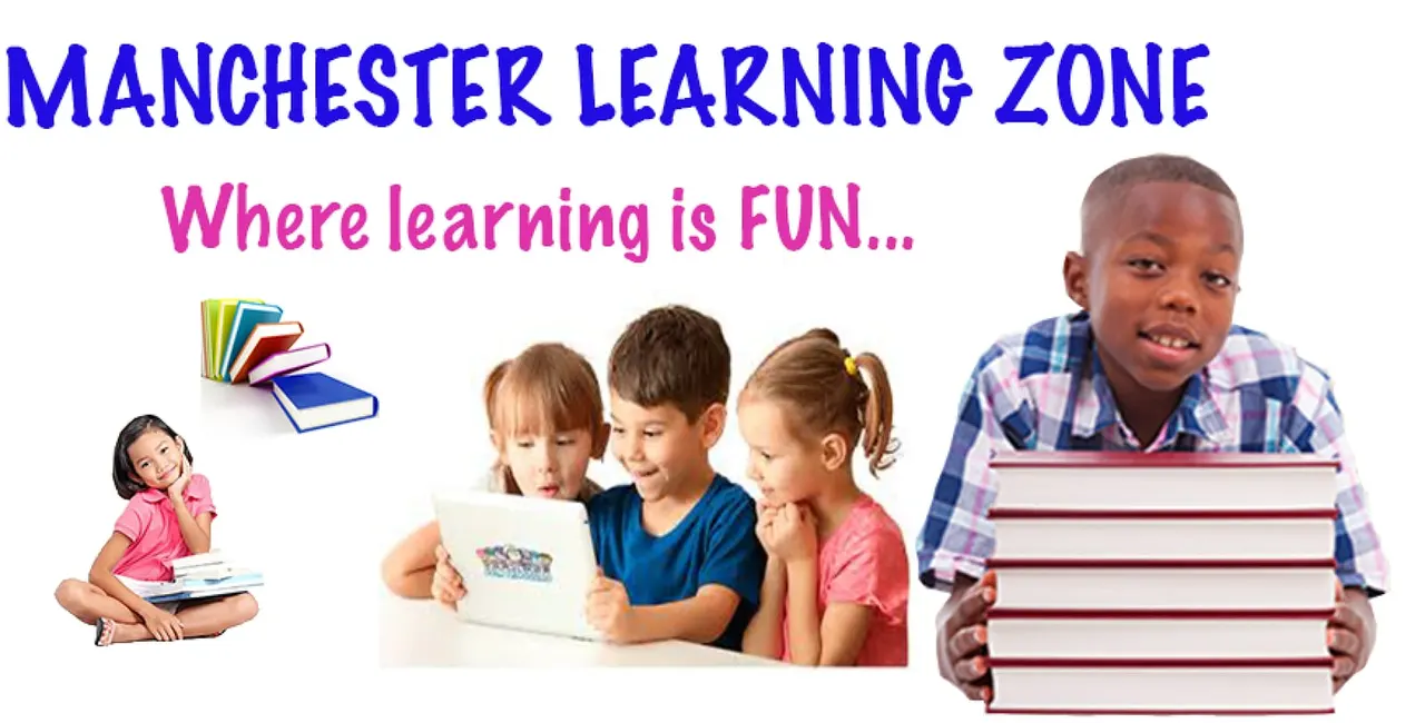 Manchester Learning Zone