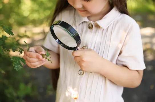 Young child examining foliage through a magnifying glass outdoors.