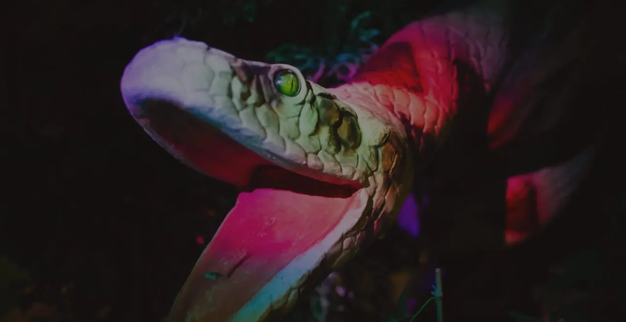 Close-up of a crocodile's head with open mouth, illuminated by coloured lighting in a dark environment.