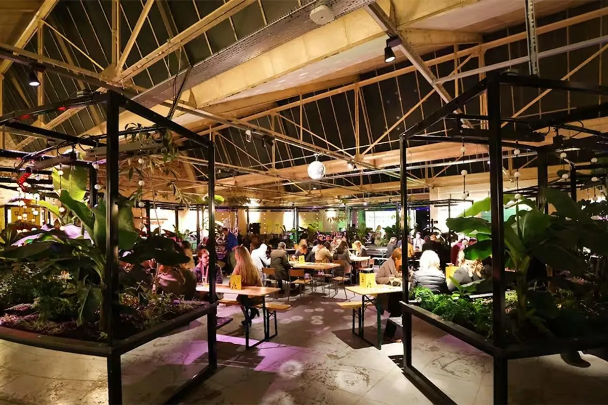 People dining and socialising in a large glasshouse surrounded by lush tropical plants and atmospheric lighting.
