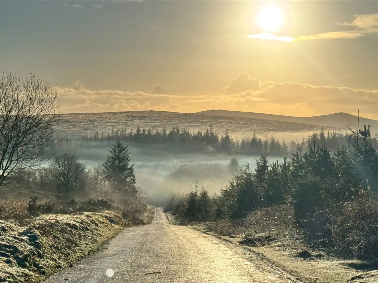A country road stretches through moorland towards forested hills shrouded in mist at sunrise or sunset.