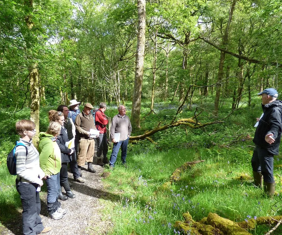 A group of visitors on a woodland path listen to a guide during a forest walk among tall trees.